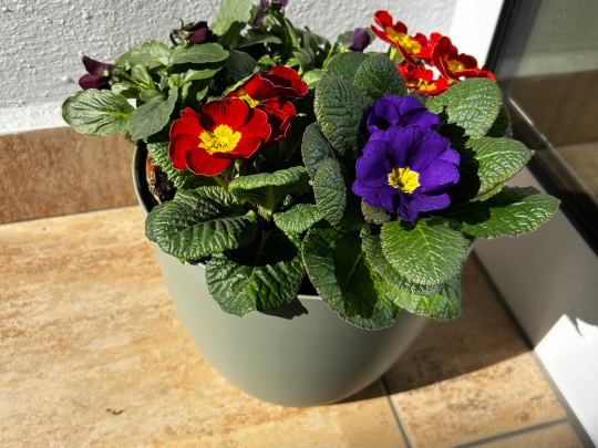 Jaro v Kafka Transport a.s.