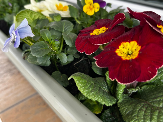 Jaro v Kafka Transport